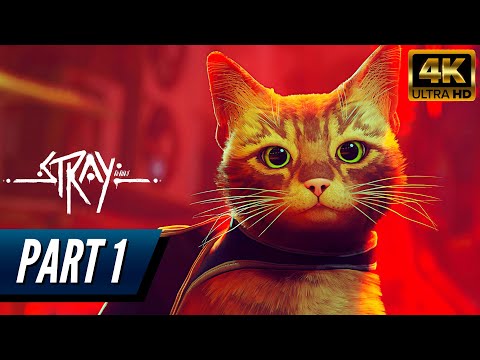 STRAY PS5 Walkthrough Gameplay PART 1 - Dead City [4K 60FPS] - No Commentary
