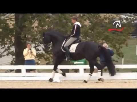 Edward Gal Totilas warm up WEG Kentucky 2010 - one tempis - Part 1