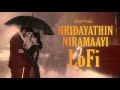 Hridayathin Niramayi Lofi Malayalam Lofi Vijay Yesudas EternaL