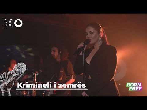 Fifi - Krimineli i zemrës | A•Live•Night - 4K