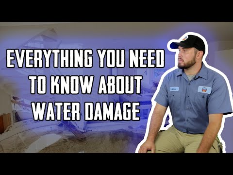 Everything You Wanted To Know About Water Damage Restoration & Mitigation