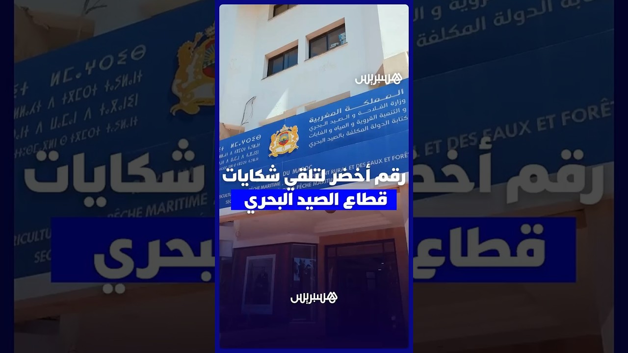 وزارة الصيد البحري تطلق رقماً أخضر لتلقي شكايات مهنيي القطاع وتعزيز الشفافية thumbnail