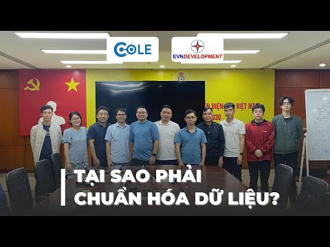 [VNPD & COLE] Đào Tạo Khóa Học Chuẩn Hóa Dữ Liệu Doanh Nghiệp