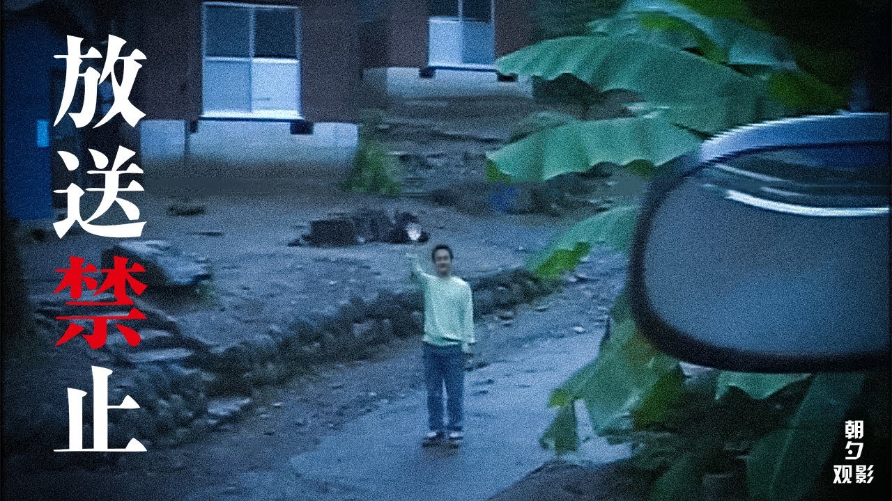 治郁村庄背后发生桩桩令人费解的离奇事件,伪纪录片《放送禁止》系列