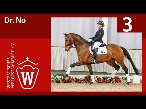 03 Dr. No Wallach v. Don Larino - Rouletto