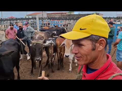 FEIRA DO GADO EM ARARA PARAÍBA BRASIL 09/03/2026