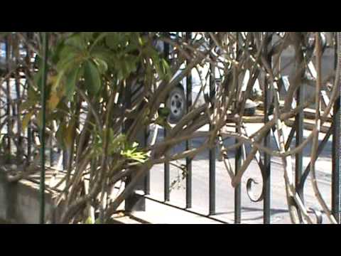 M2U00348 25 enero conflicto con el vecino arrendatario