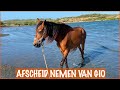 Rust zacht lieve Gio | DierenpraatTV