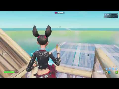 Fortnite   2026 01 11 13 11 16