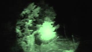 Rough Hollow. Kalub falls into a wash at night 11/22/13