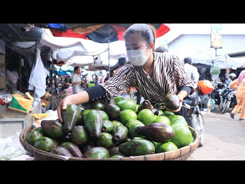 Buy avocado from the market for my recipe / Fresh fruit dessert and avocado juice recipes