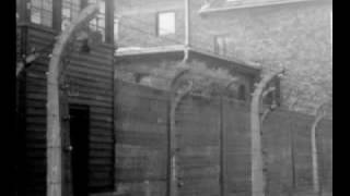 Remnants, Remedy "Never Again"