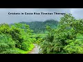 Crickets in Costa Rica Tinnitus Therapy 10 Hours Nature Sounds