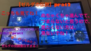 【ゼルダの伝説）prat2 めちゃくちゃ進みまくってつまらないと思うので、みたくない方は、みないでね！