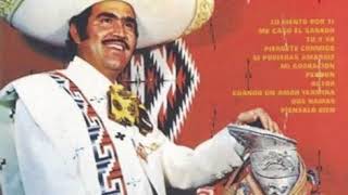 Lo Siento Por Ti  Vicente Fernandez