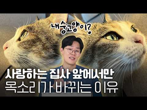 우리집 고양이, 나랑 대화하려고 목소리를 바꾼다고?