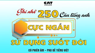 Ghi nhớ 250 câu Tiếng anh CỰC NGẮN, sử dụng thường xuyên 