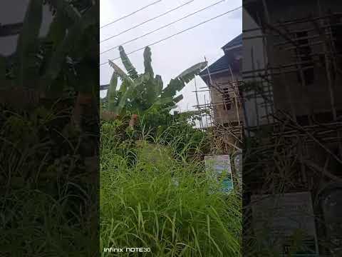 Half Plot of Dry Land for Sale Along Bayo Oyewale, Ago Palace Way