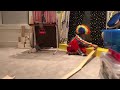 Clown With Rainbow Hair Plays With Thomas The Tank Engine