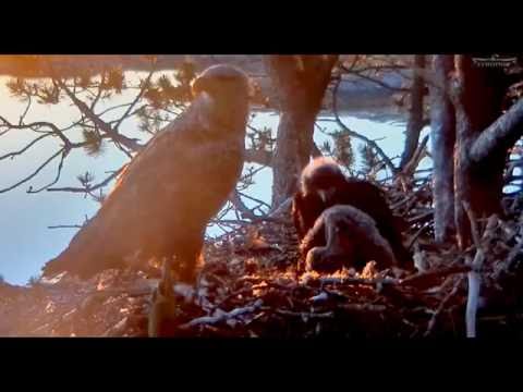 Norway WTE 6-14-16 5am "Beat Down"