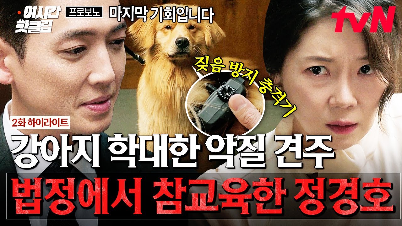 [#프로보노] 강아지 학대한 악질 견주 이렇게 참교육해 드립니다^^ 법정의 판도를 한순간에 뒤바꾼 변호사