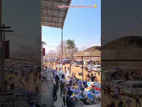 Denov bobo dehqon bozori