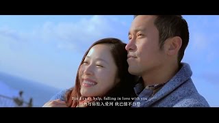 張靚穎《Can&#39;t Help Falling in Love》(電影《戀愛中的城市》英文主題曲)
