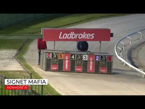 Signet Mafia - 24th April 2021