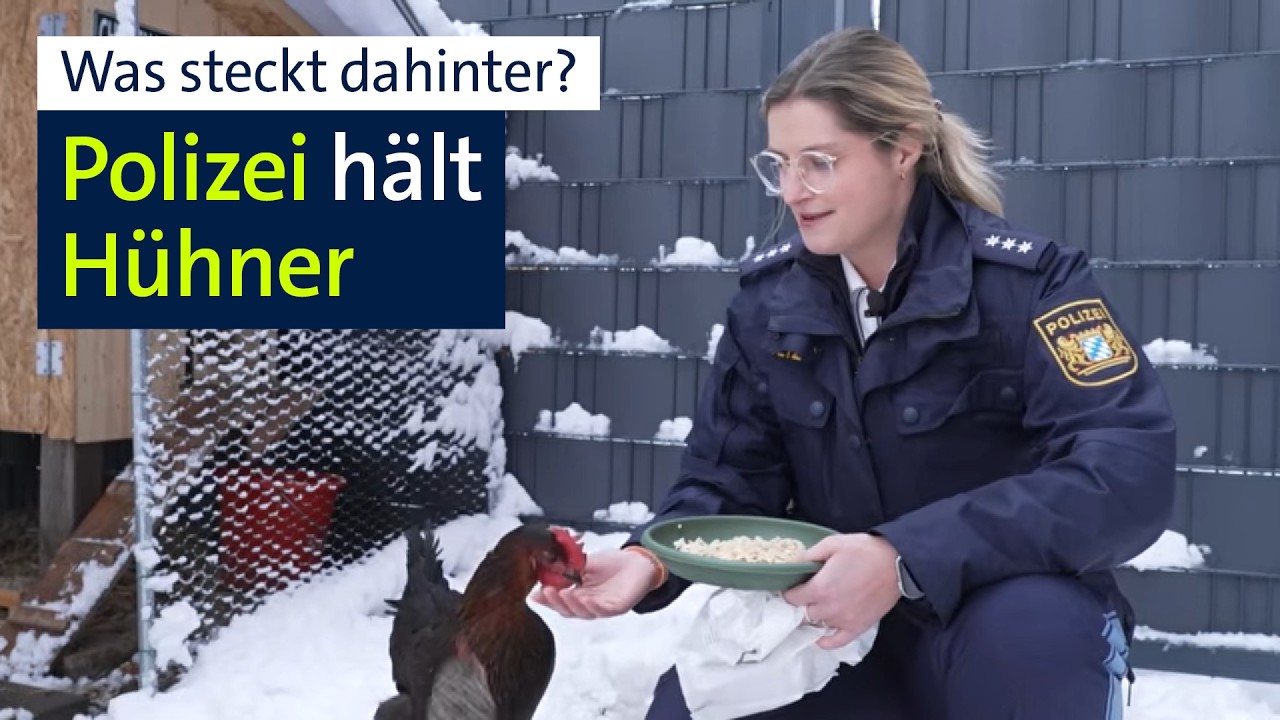 Warum zum Kuckuck? Polizei hält Hühner | Abendschau | BR24