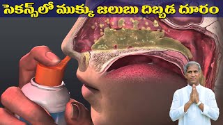 సెకన్స్ లో ముక్కు జలుబు దిబ్బడ దూరం ! | Nose Blockage | Dr Manthena Satyanarayana Raju Videos