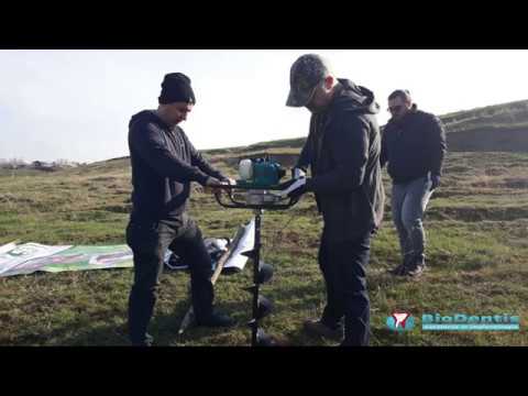 Campania “Plantăm Viață” Impadurire comuna Potcoava organizator Clinica Biodentis Slatina