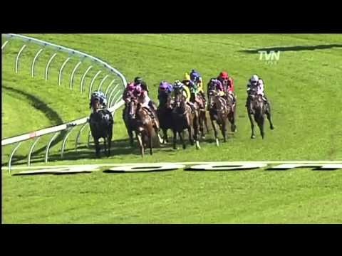 2011 Sires Produce- Helmet