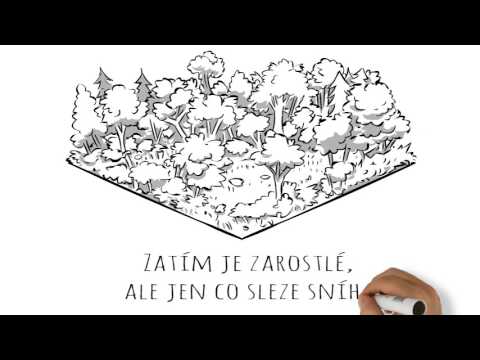 BASE CAMP Libina - alternativní outdoorový kemp