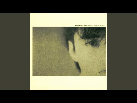 Mexican Bandits - Felt