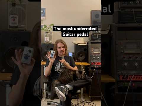 The Electro Harmonix Freeze Pedal #electroharmonix #guitarpedals