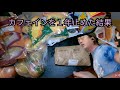 筋トレ・買い物・1年間ノーカフェイン