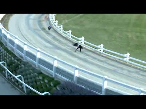 2022.06.16. 06. futam - Kincsem Park Magyar Derby Negyeddöntő I. futam