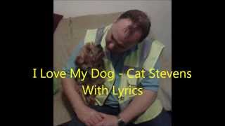 I Love My Dog - Cat Stevens  (with lyrics)