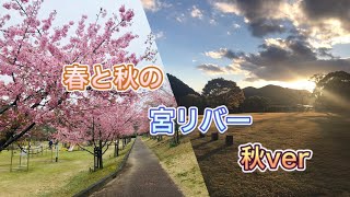 【三重県度会町】宮リバーの春と秋を比べてみよう！今回は秋編
