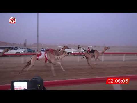  ش 1 (مياسه) لـ عبدالله سالم بن رميله العامري 3:08:62 ، شارة الصندوق 2026/08/28 فطامين الوقن