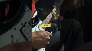 Download lagu Sesal - Elvy sukaesih Cover Lead gitar#cover #dangdut #lead #gitar #ibanez #jem #elvysukaesih mp3