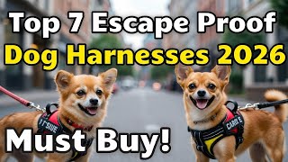 Top 7 Best Escape Proof Dog Harness for Small Dogs Review (U