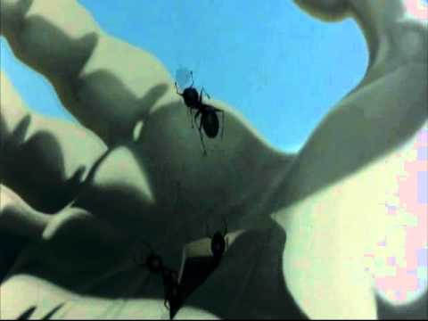 Emre Baransel - Şizofren Köprü