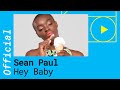Sean Paul - Hey Baby (Team Nikeata Thompson ...