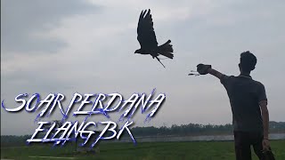 Download lagu Latihan Soar Perdana Elang BK mp3