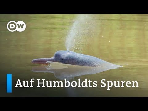 Alexander von Humboldt in Amerika: Artenvielfalt am Orinoco (6/6) | Projekt Zukunft