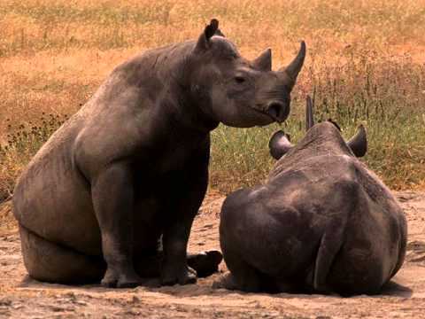 ZaBaVa feat jonnessey and aner you