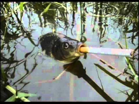 Loš Utjecaj feat. kik0 - Šarani (prod. ZoLe)