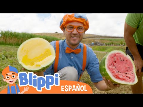 Blippi aprende sobre una alimentación saludable en la granja  | Videos de vehículos para niños