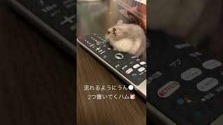 2022年12月7日